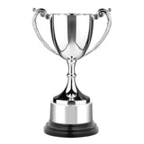 WC6 Wooden Base Cast Cup - Bracknell Engraving & Trophy Services