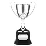 C5 Heavyweight Cast Cup - Bracknell Engraving & Trophy Services