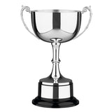 484 Cambridge Silver Plated Cup - Bracknell Engraving & Trophy Services