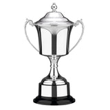 496 Studio Silver Plated Cup - Bracknell Engraving & Trophy Services