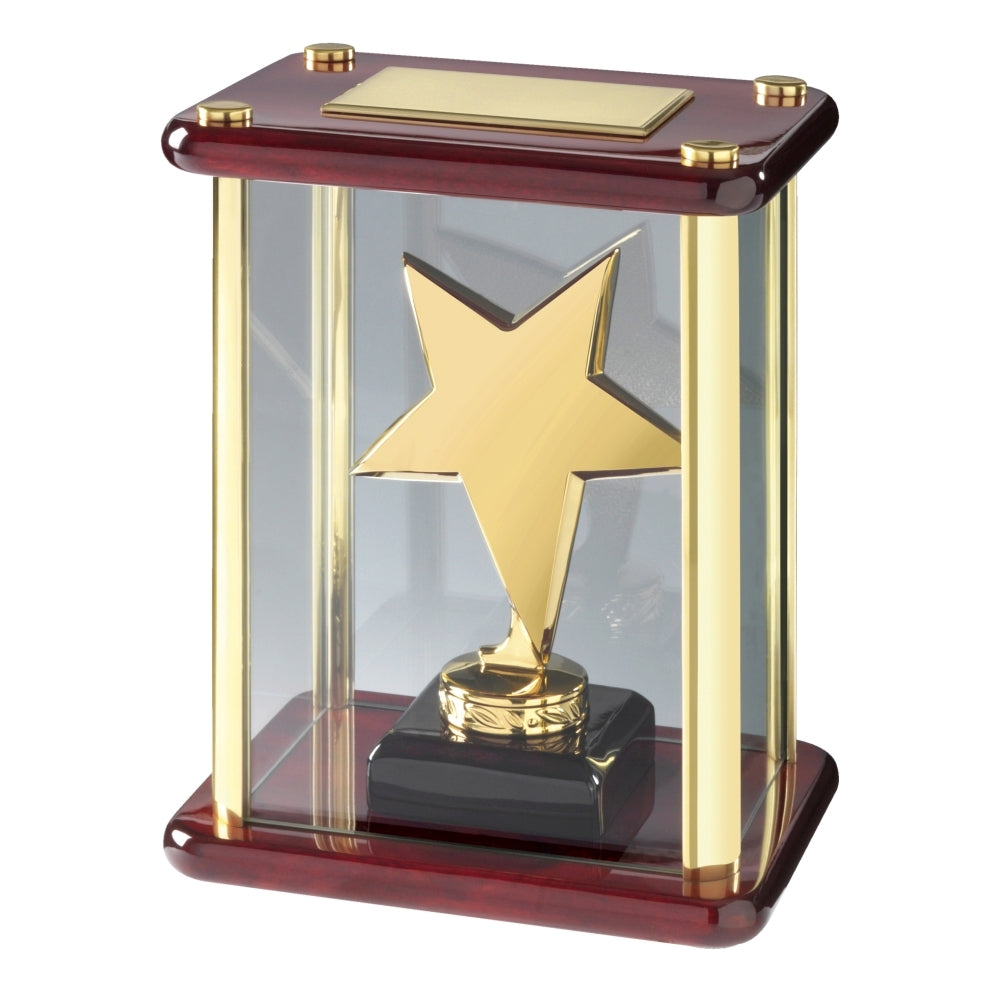 Star in Case Award - Bracknell Engraving & Trophy Services