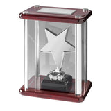 Star in Case Award - Bracknell Engraving & Trophy Services