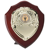 Triumph Gold Shield - Bracknell Engraving & Trophy Services