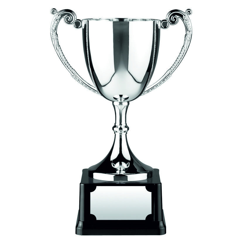 C6 Heavyweight Nickel Cast Trophy Cup