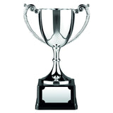 C6 Heavyweight Nickel Cast Trophy Cup - Bracknell Engraving & Trophy Services