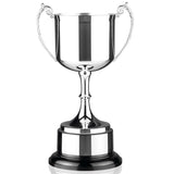 PAT2 Silver Plated Cup - Bracknell Engraving & Trophy Services