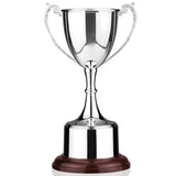 PAT5 Silver Plated Cup - Bracknell Engraving & Trophy Services