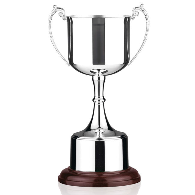 PAT6 Silver Plated Cup