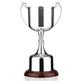 PAT6 Silver Plated Cup - Bracknell Engraving & Trophy Services