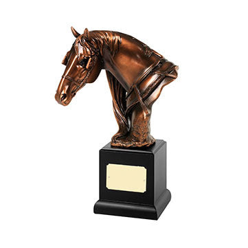 RW08 Horse Head - Bracknell Engraving & Trophy Services